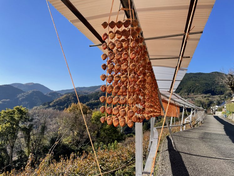 A group of dried fruits hanging from a roof on the side of the road
