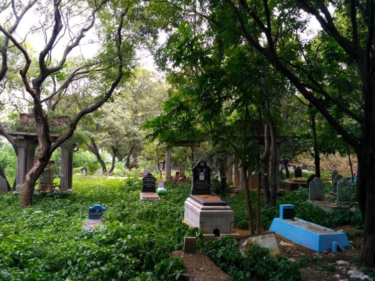 A green forest with trees, thick undergrowth, and gravestones littered beneath the leaves