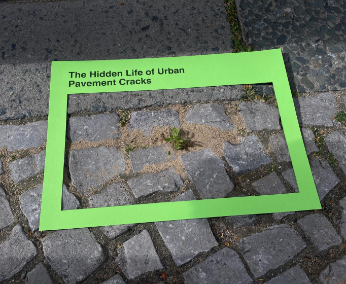 A picture of a cracked brick sidewalk with a bright green frame labeled "The Hidden Life of Urban Pavement Cracks"