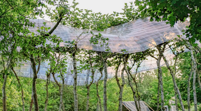 A picture of a transparent building surrounded by trees and greenery