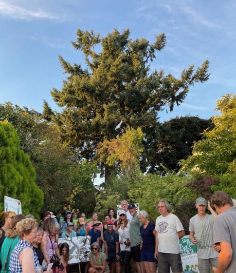 A group of people holding signs in front of trees