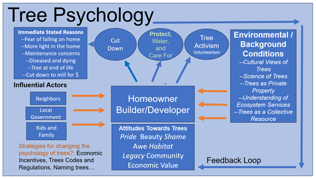 A blue diagram depicting the cycle of the attitude towards trees