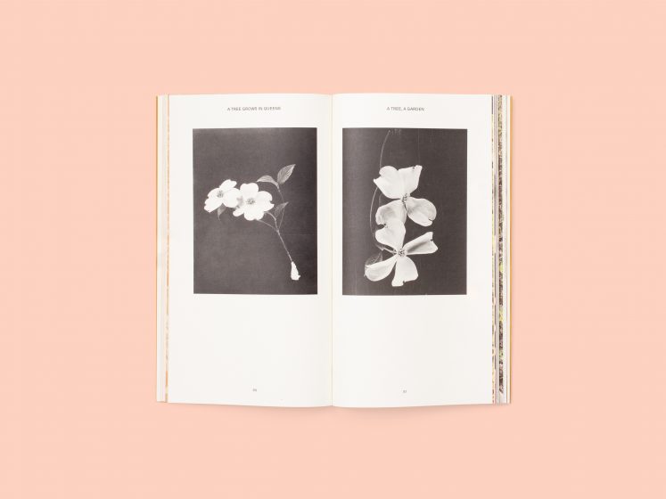 An open book with pictures of black and white flowers on it