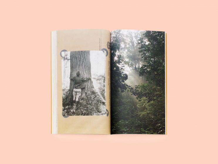 An open book with a picture of a person hugging a tree