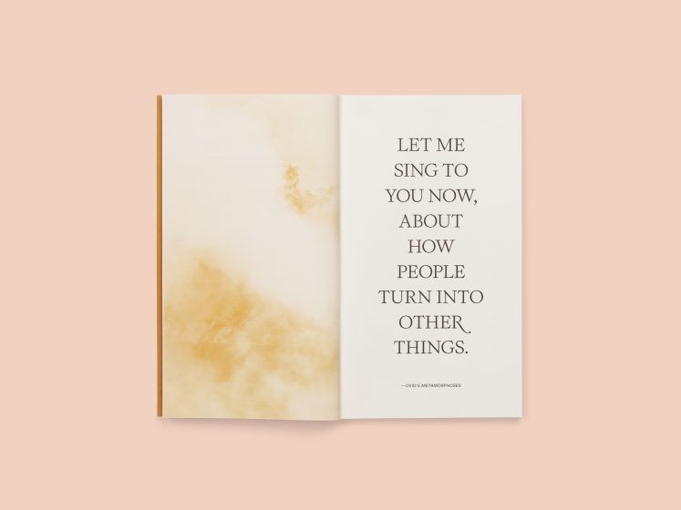 An open book with text on it reading: Let me sing to you now, about how people turn into other things