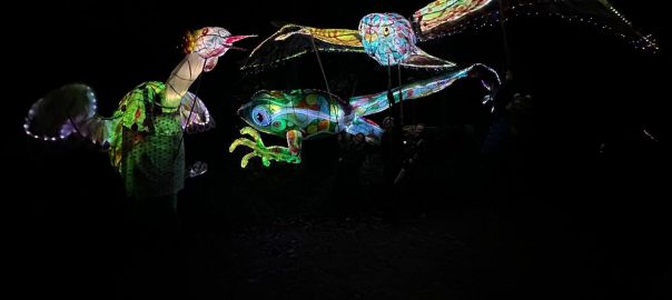 A picture of glowing lanterns of colorful animals