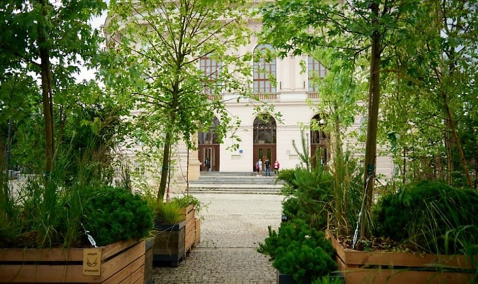 A picture of a paved walkway through planters full of green vegetation and small trees