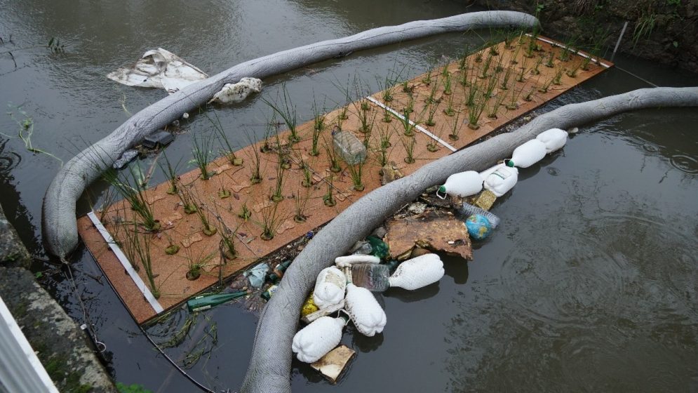 A waterway filled with plants and garbage