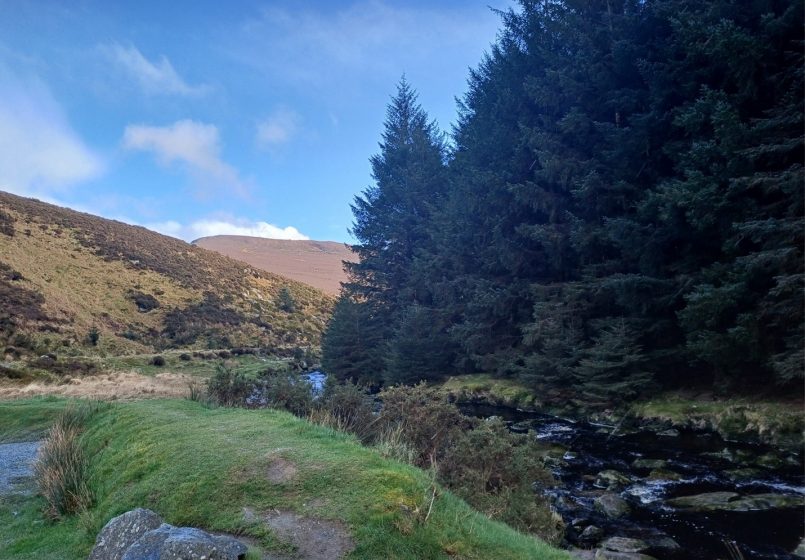 A river running through a forest in the Wicklow Mountains nature reserve, in Ireland, under blue sky.