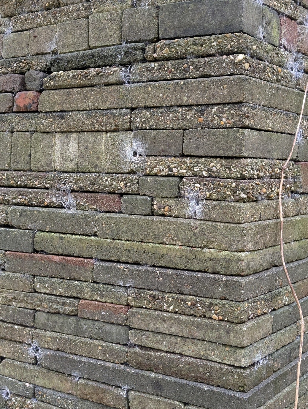 A close up of a brick wall with spider webs