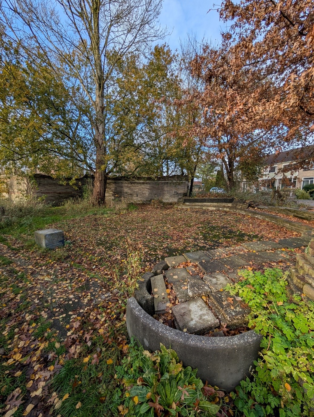 A garden with trees and stones covered in dead leaves