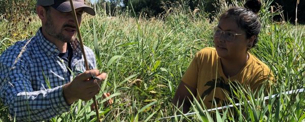 “Heal the land, Heal the people”: A Conversation About Indigenizing Urban Natural Area Stewardship