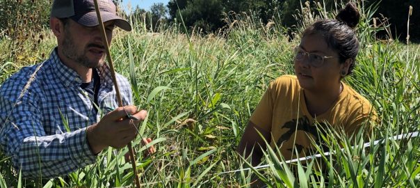 Two people crouched down in a field of tall grass