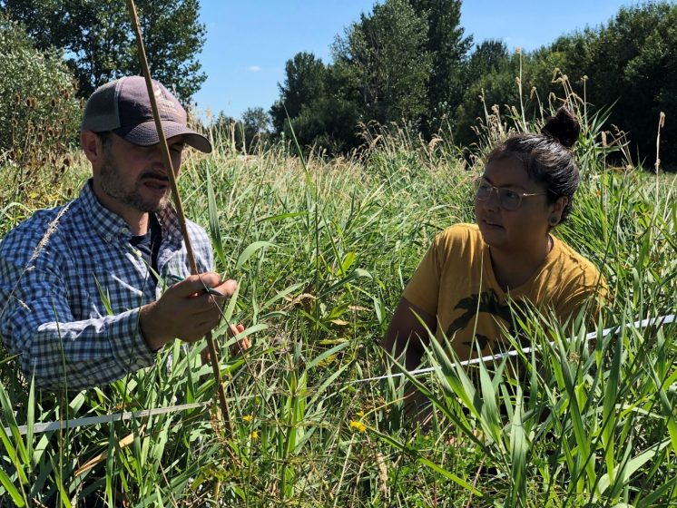 Two people crouched down in a field of tall grass