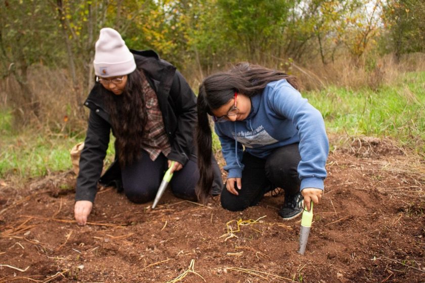 Two people digging in the dirt with stakes