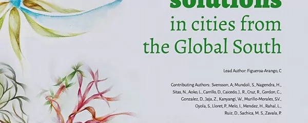 Integrating Nature-Based Solutions in Cities From the Global South